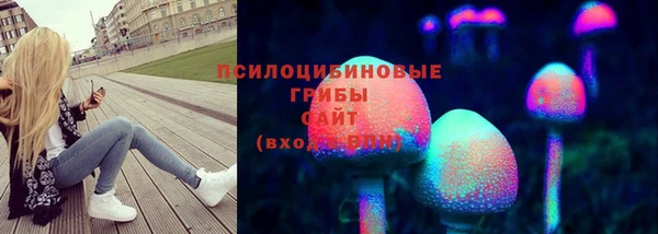 стафф Богданович