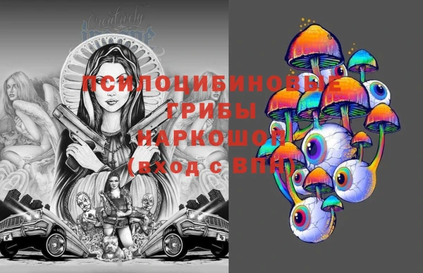 стафф Богданович
