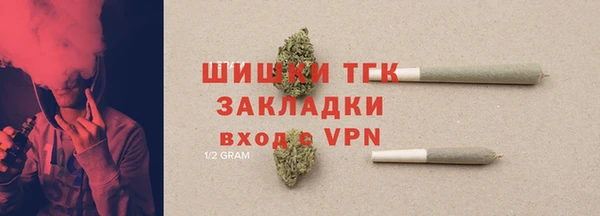 прущие грибы Богородск