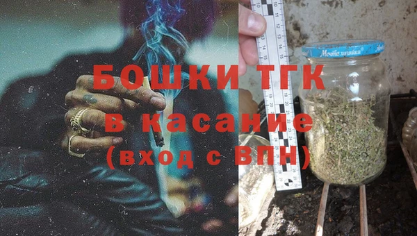 прущие грибы Богородск