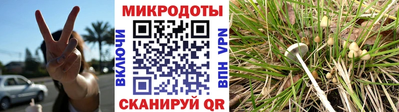 ОМГ ОМГ вход  Верхняя Пышма  Псилоцибиновые грибы ЛСД  купить наркоту 